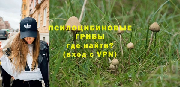 ECSTASY Алексин