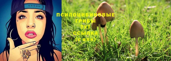 ECSTASY Алексин